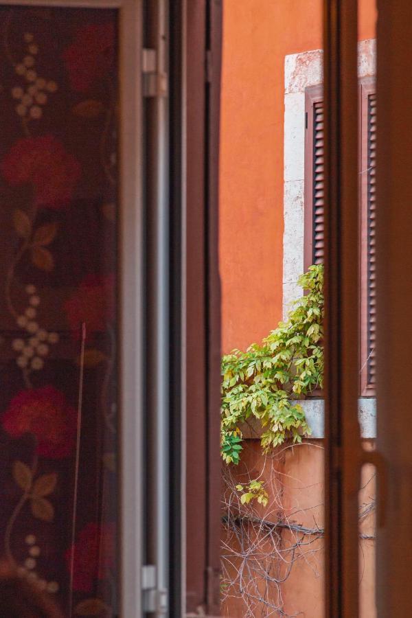 Trasteverehome - Paglia House Of 17Century In Trastevere Rome Luaran gambar